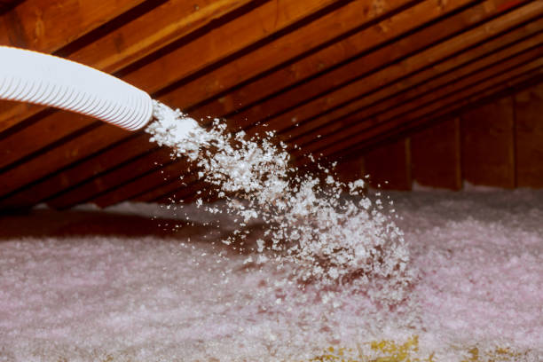 Insulation Replacement Services in Villa Rica, GA