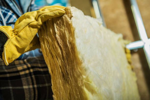 Best Wall Insulation Contractor  in Villa Rica, GA